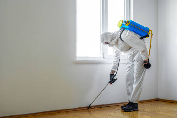 Best Flea Control Services  in East Washington, PA